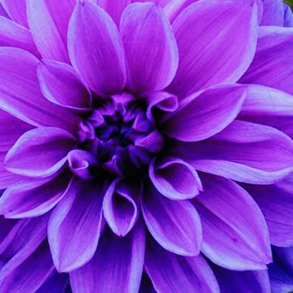 Men's & Women's Clothing, Purses, Shoes & Jewelry - Picture 1 of 1